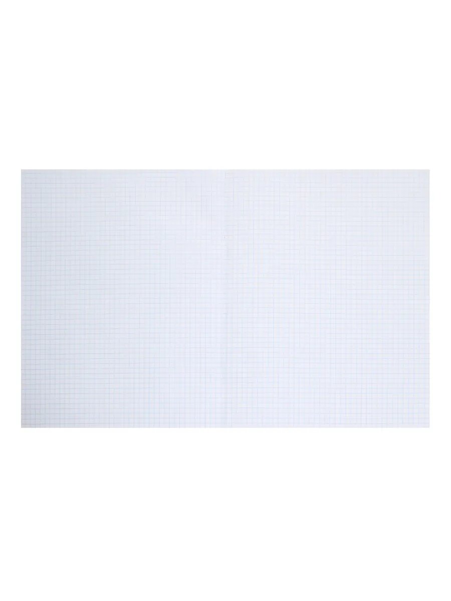 Тетрадь в клетку А4 96л — фото 1