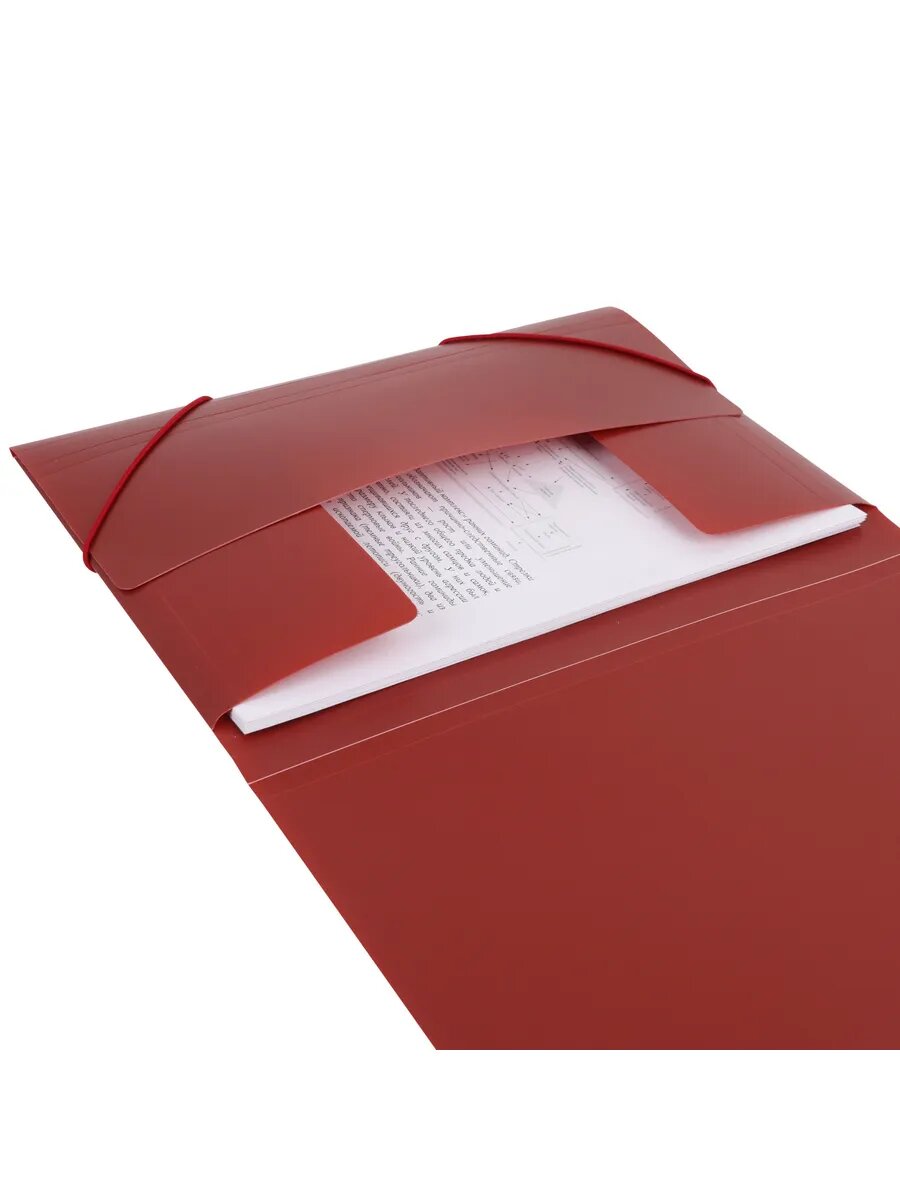 Папка на резинке А4 — фото 1