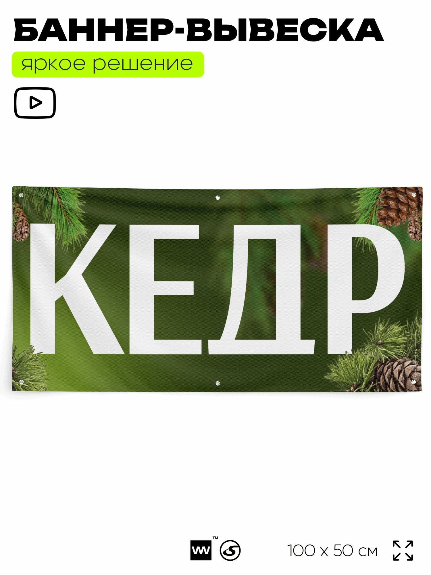 Рекламная вывеска баннер "кедр", 100х50 см, с люверсами, для магазина, зеленый, Silver Plane x Айдентика Технолоджи