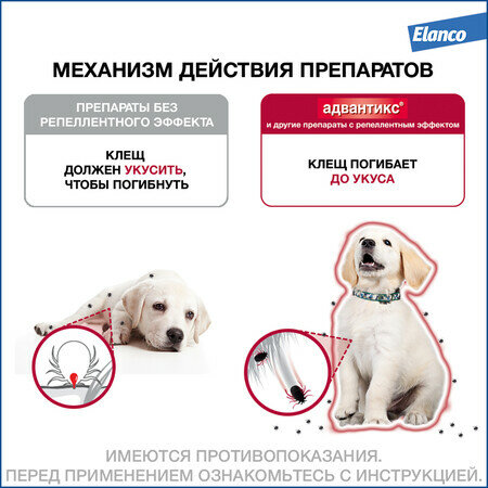 ELANCO Адвантикс 1 пипетка капли от блох, клещей и комаров для собак весом от 4 до 10 кг — фото 1