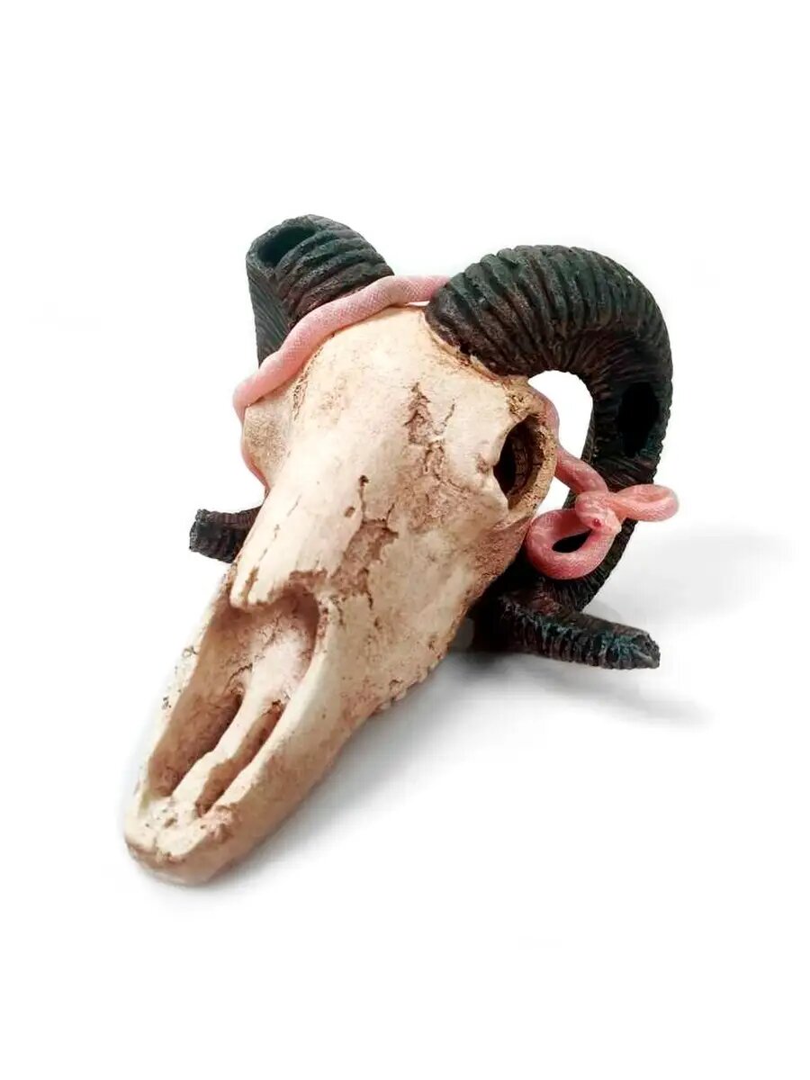 Декорация для террариума череп "Skull Ram" 19.5х17х12см