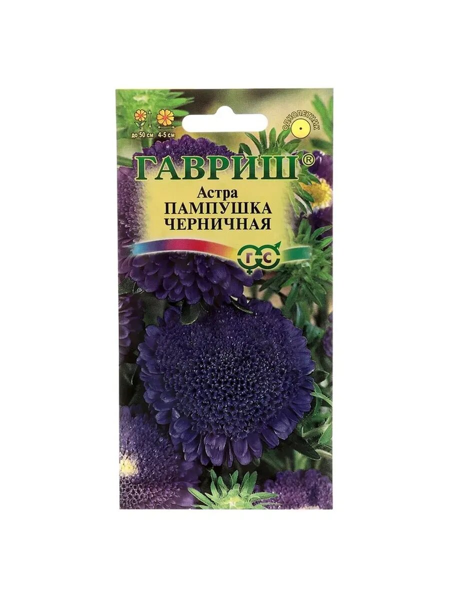 10 упак Семена цветов Астра Пампушка черничная помпонная