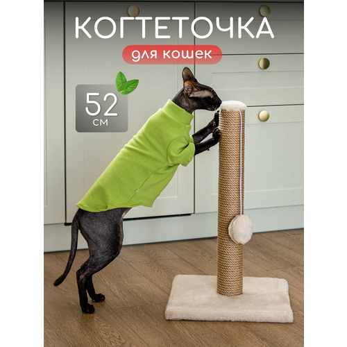 Когтеточка для кошки напольная