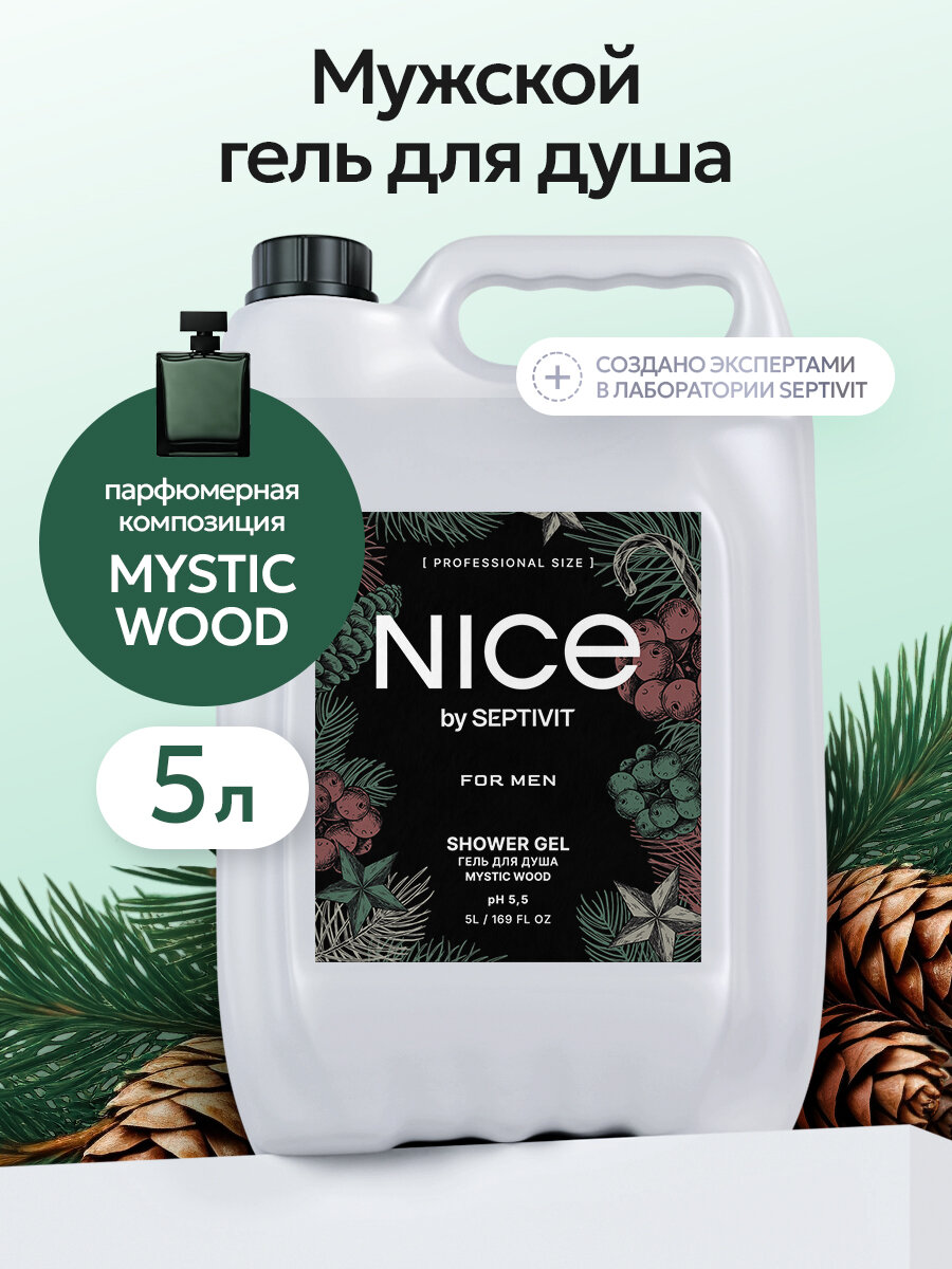 Гель для душа Nice by Septivit мужской парфюмированный канистра 5 л