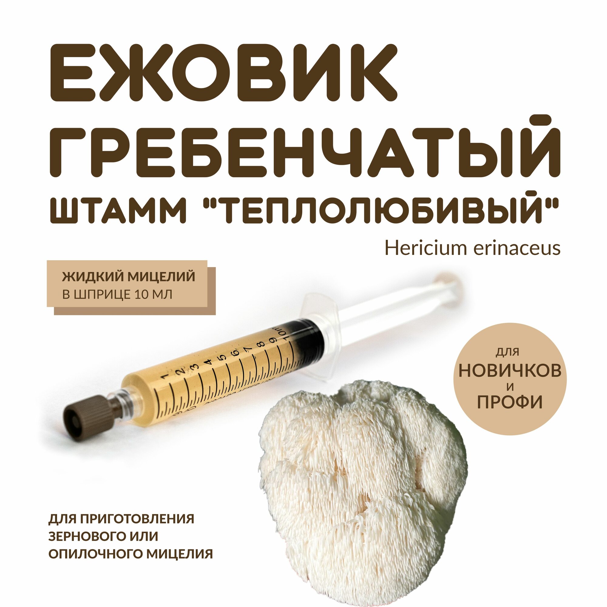 Жидкий мицелий Ежовик гребенчатый "теплолюбивый"
