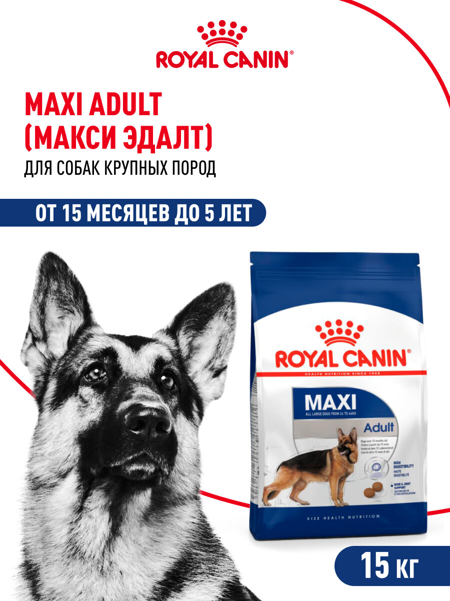 Сухой корм для собак Royal Canin Maxi Adult для крупных пород 15 месяцев до 5 лет, 15 кг — фото 1