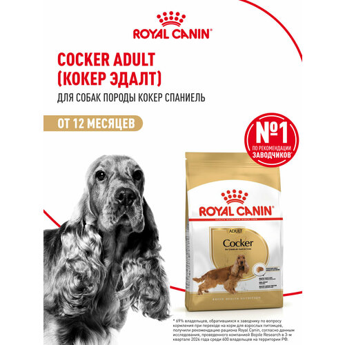 Корм для взрослых собак Royal Canin Cocker Adult (Кокер Эдалт) сухой для породы Кокер Спаниель от 12 месяцев, 3 кг