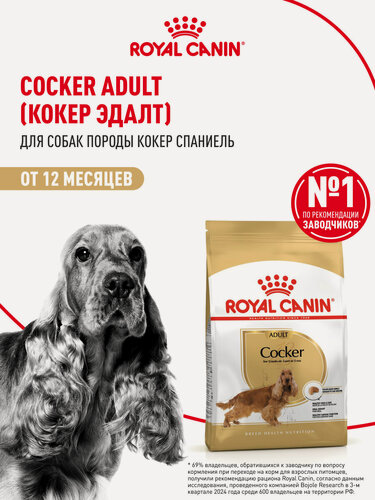 Изображение товара Сухой корм для собак Royal Canin Adult для породы кокер спаниель, 3 кг