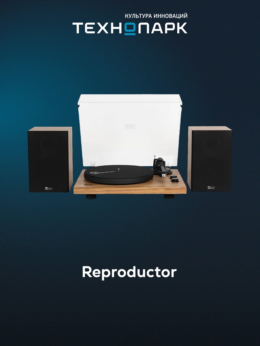 Проигрыватель виниловых пластинок Reproductor RP-LPX500SOK
