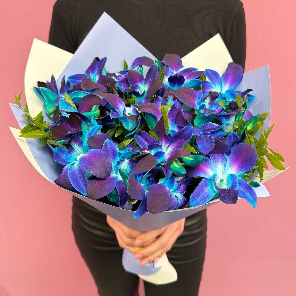 Букет из 25 космических синих орхидей дендробиум от Bestflo купить с доставкой