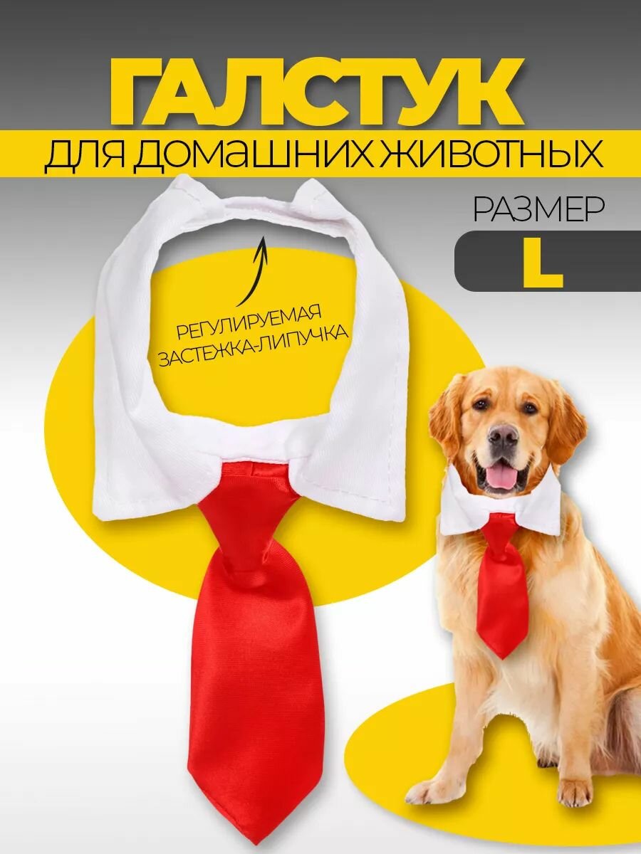 Ошейник с галстуком для животных