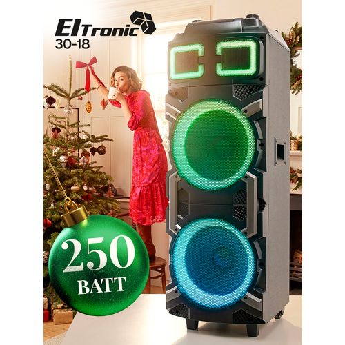 Колонка 30-18 ELtronic Crazy Box 1200 10 дюймов с двумя динамиками 10 и функцией TWS