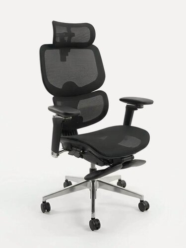 Изображение товара Кресло компьютерное Ergostul D2 Pro Black