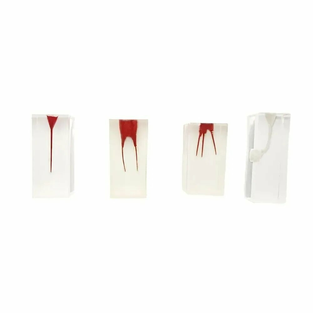 Эндоблоки : 4 шт , одноканальные , двухканальные , трехканальные . одноканальные с конусом. Прозрачные тренировочные блоки для обучения и закрепления эндодонтических навыков от Incidental