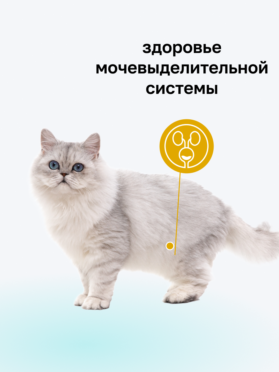 Картинки Organix Preventive Line Urinary сухой корм для кошек "Профилактика образования мочевых камней", 600 г