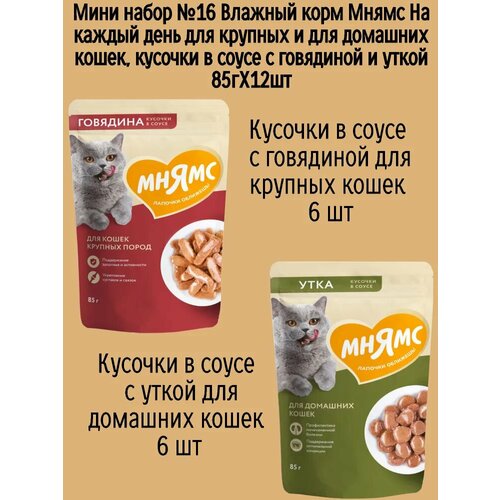 Мини набор №16 Влажный корм Мнямс для взрослых кошек, кусочки в соусе с говядиной и уткой, 12 шт х 85 гр