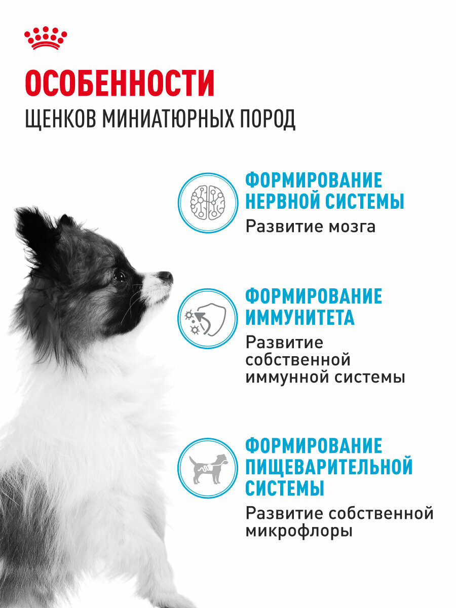 Сухой корм для щенков Royal Canin X-Small Puppy для миниатюрных пород, 1,5 кг — фото 1