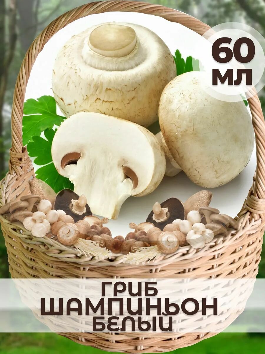 Мицелий гриба Шампиньон 