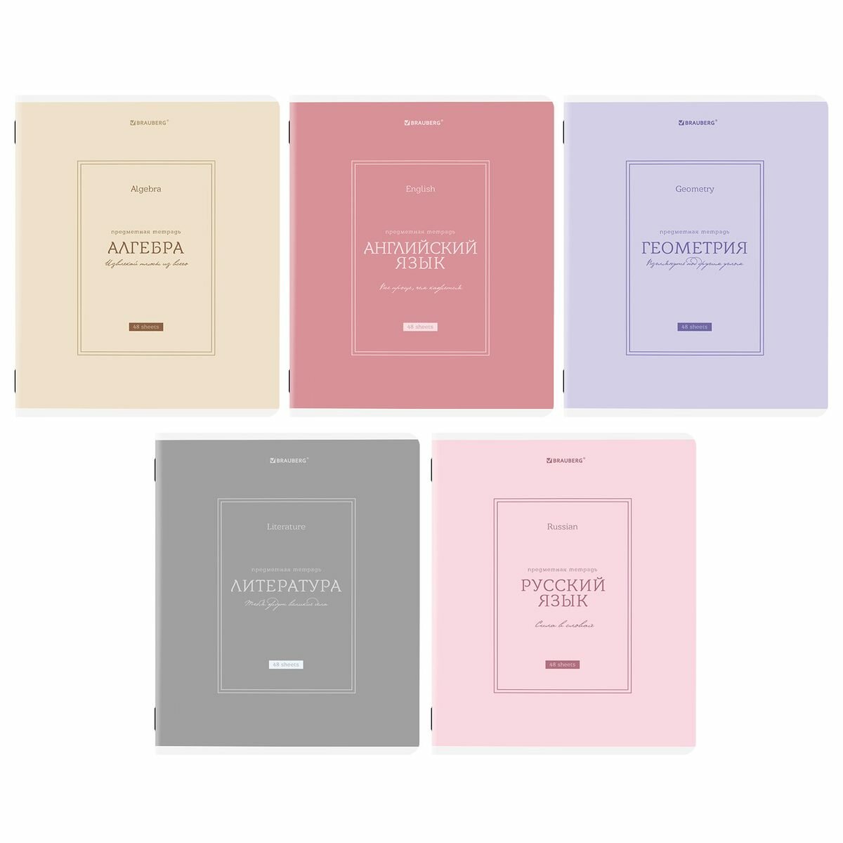 Набор предметных тетрадей Brauberg "Classic" (А5, 48л, клетка/линейка, 5 предметов, рельефный картон) (405186)