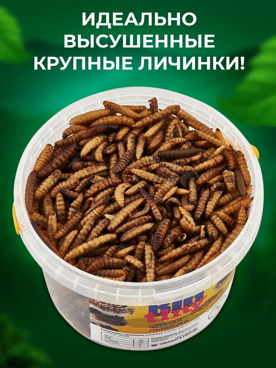 Лакомство Big Tiny "Чёрная львинка" для крыс/хомяков/ежей/птиц/рыб/рептилий, 500 мл — фото 1
