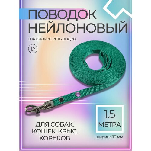 Поводок Хвостатыч с карабином нейлон для мелких пород 1.5 м х 10 мм (бирюзовый)