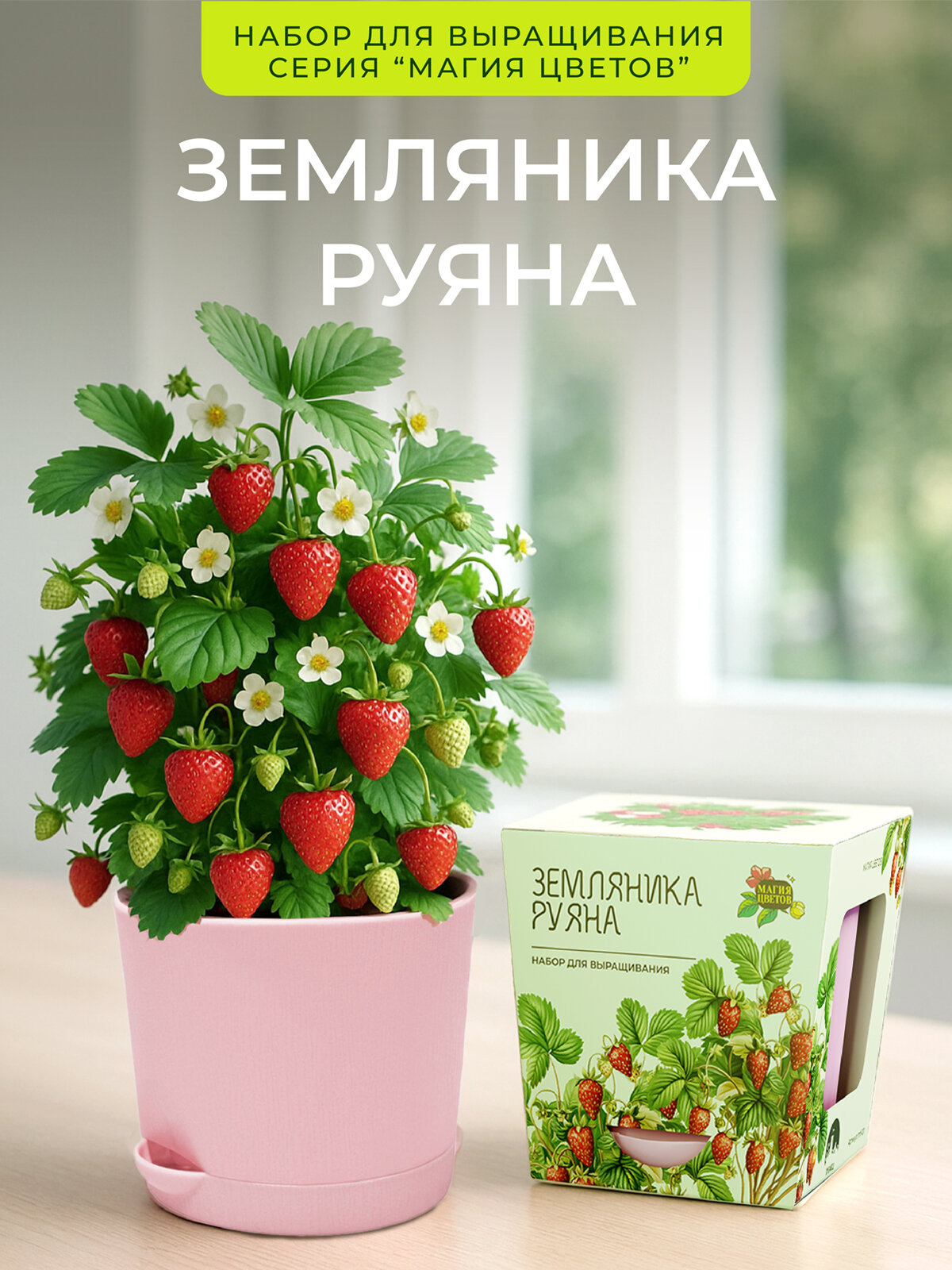 Земляника Руяна Набор для выращивания от бренда 