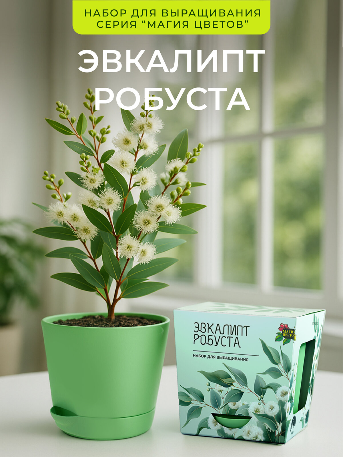 Эвкалипт робуста Набор для выращивания растений от бренда 