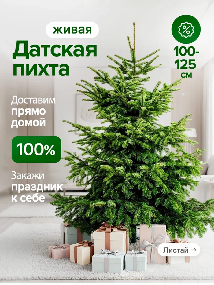 Пихта живая Нордмана новогодняя премиум Елка для дома ( 100 - 125 см )