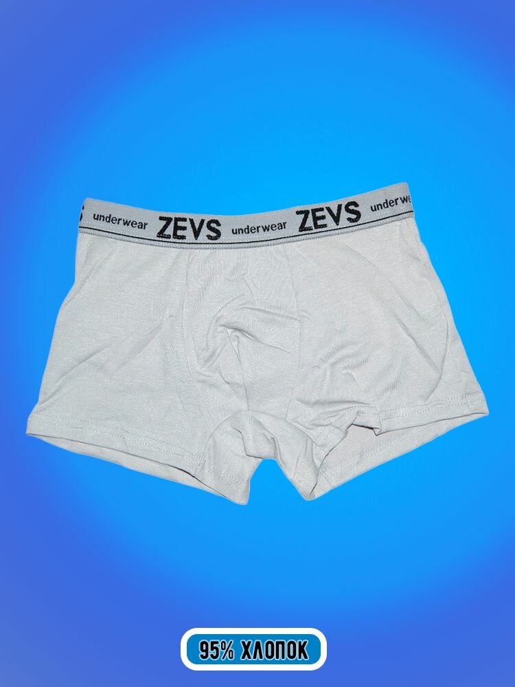 Трусы Zevs, 2 шт., размер L, синий — фото 1