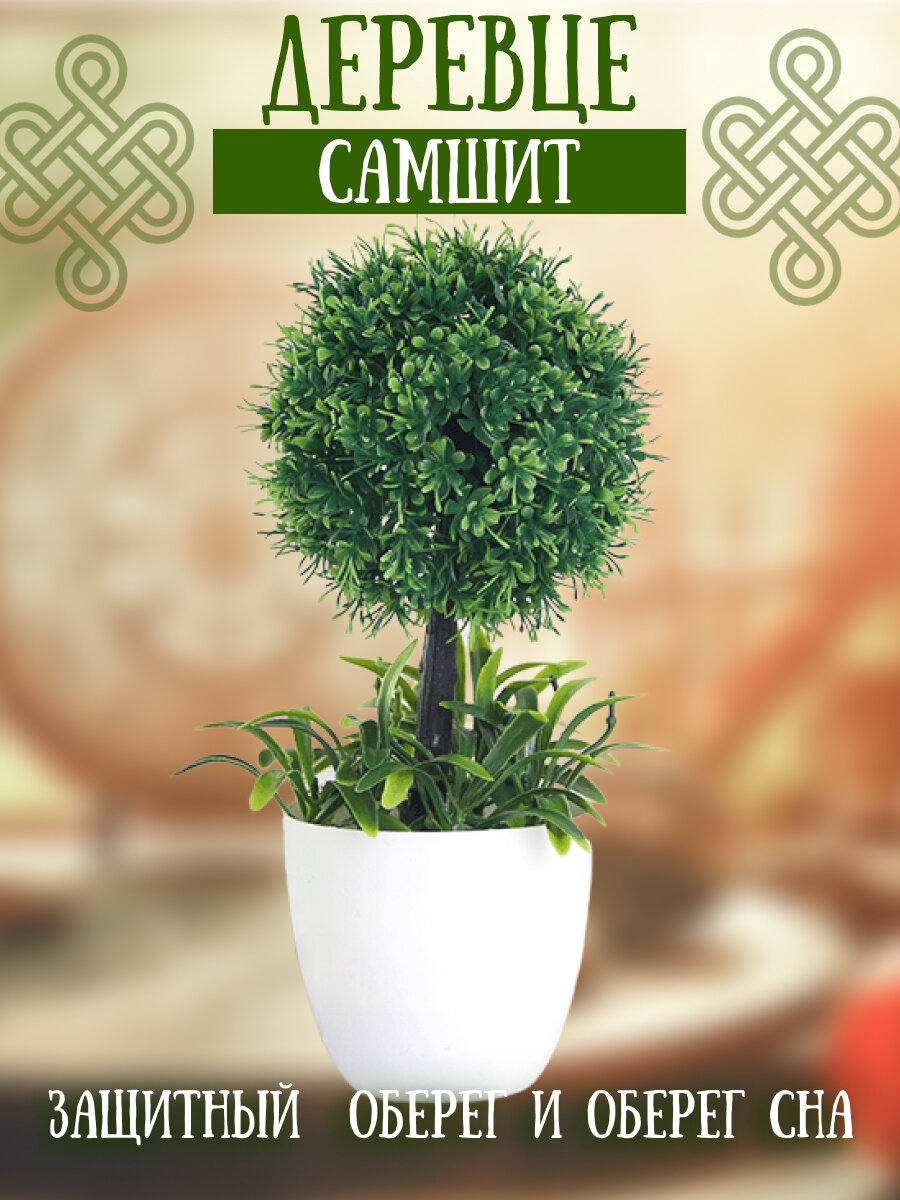 Дерево декоративное Кассия 27 см зеленые цветы Перо Павлина