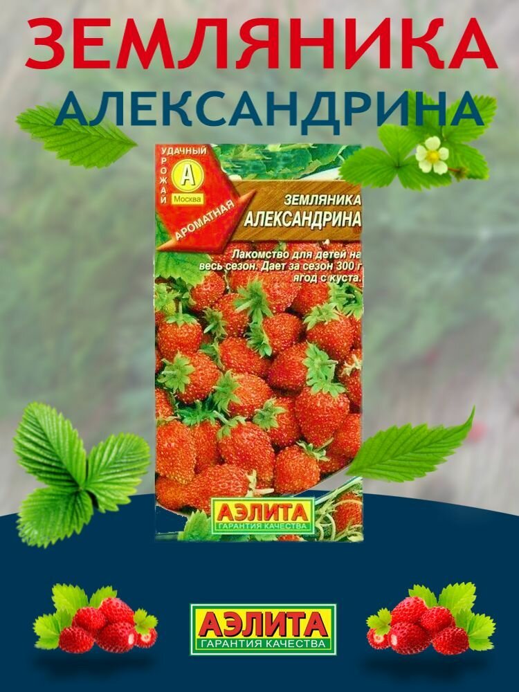 Семена земляники Александрина 1 шт.