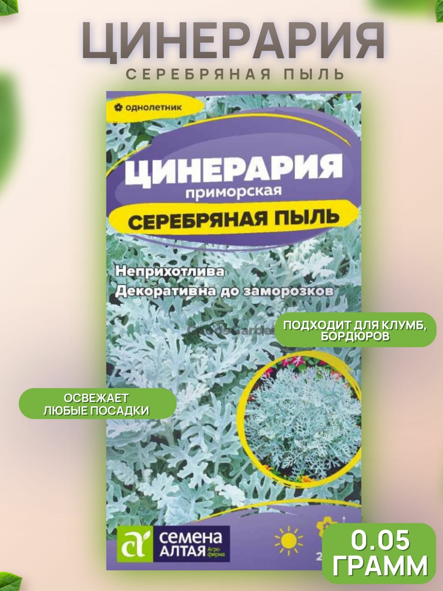 Цинерария Серебряная Пыль/СемАлт/005г