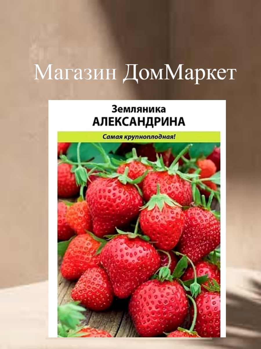 Земляника 
