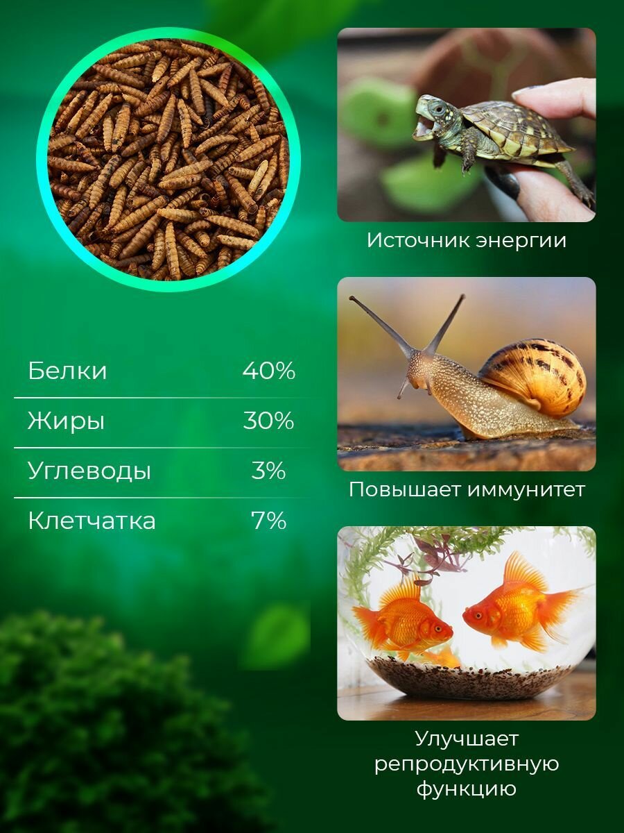 Лакомство Big Tiny "Чёрная львинка" для крыс/хомяков/ежей/птиц/рыб/рептилий, 500 мл — фото 1