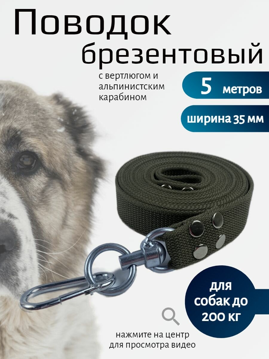 Поводок для собак крупных пород с вертлюгом и альпинистским карабином брезент 5 м х 35 мм (зеленый)