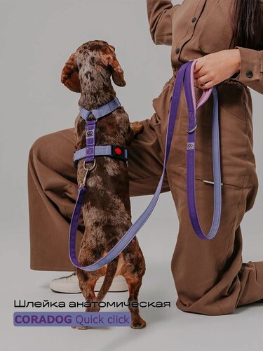 Изображение товара Шлейка прогулочная анатомическая для мелких пород собак и кошек, CORADOG Quick click, размер XXS, цвет сиреневый, фиолетовый