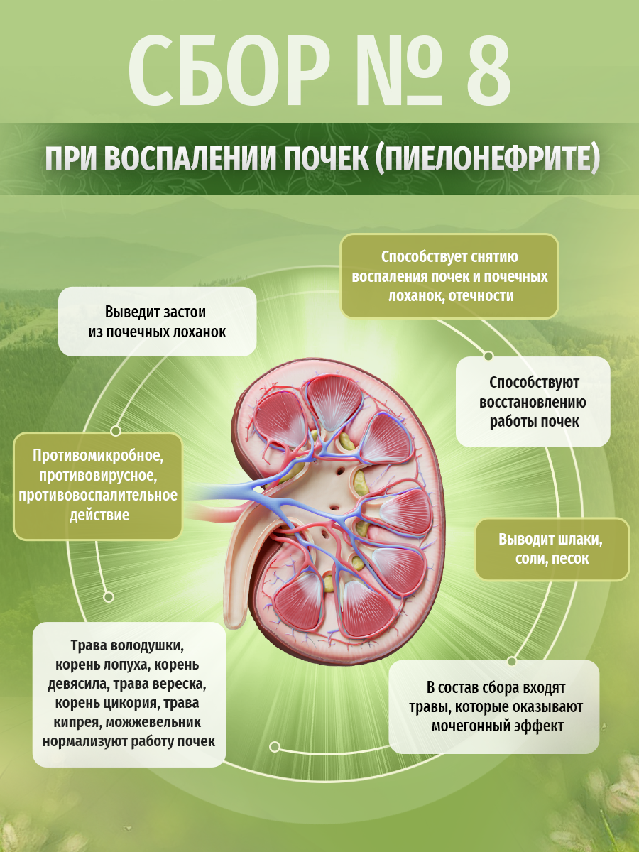 Картинки Травы Кавказа сбор №8 при воспалении почек (пиелонефрите), 200 г