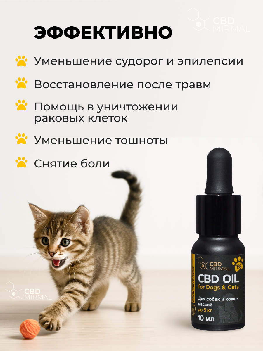 Масло с CBD 1% 10мл для собак и кошек до 5кг /CBD масло 10 мл 100 мг / CBD oil / масло КБД / экстракт / каннабидиол — фото 1