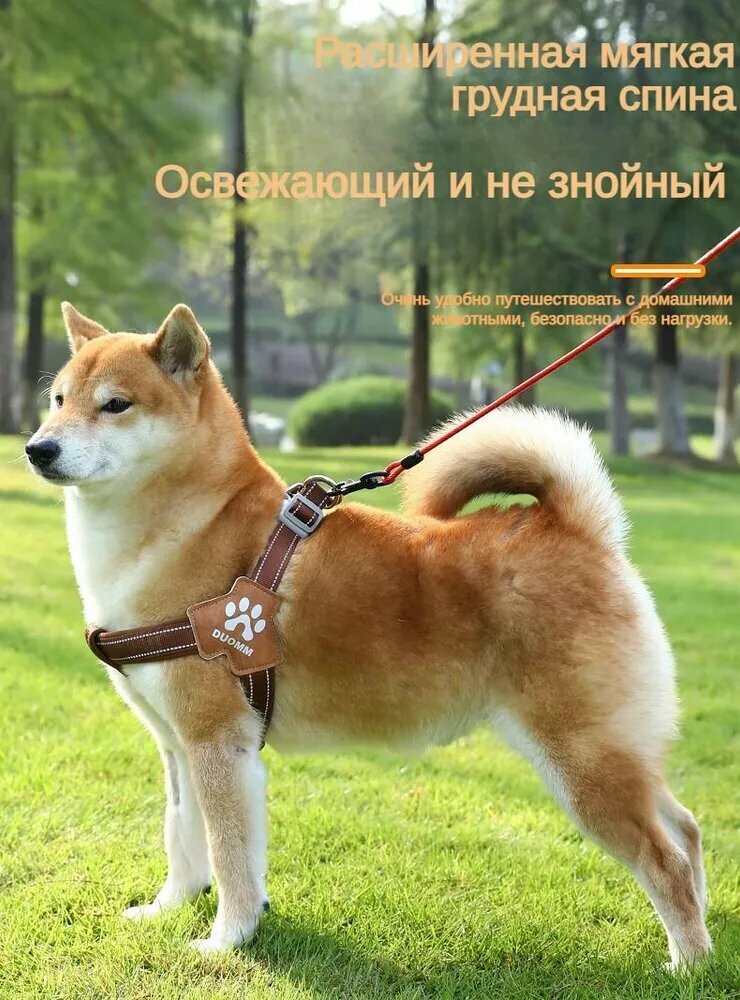 Картинки Поводок-шлейка для собак типа Шиба-ину-корги для маленьких и средних собак