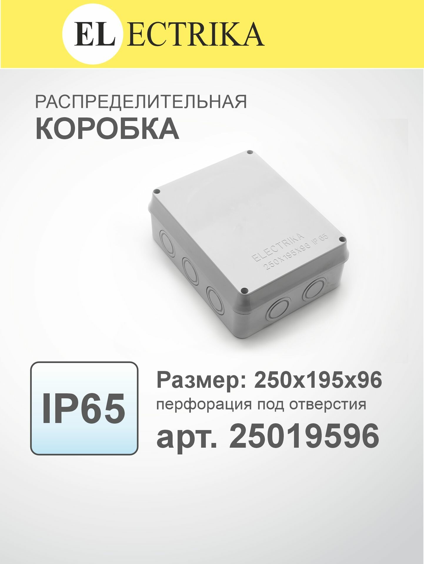 Коробка распределительная 250x195x96мм IP65 ELECTRIKA