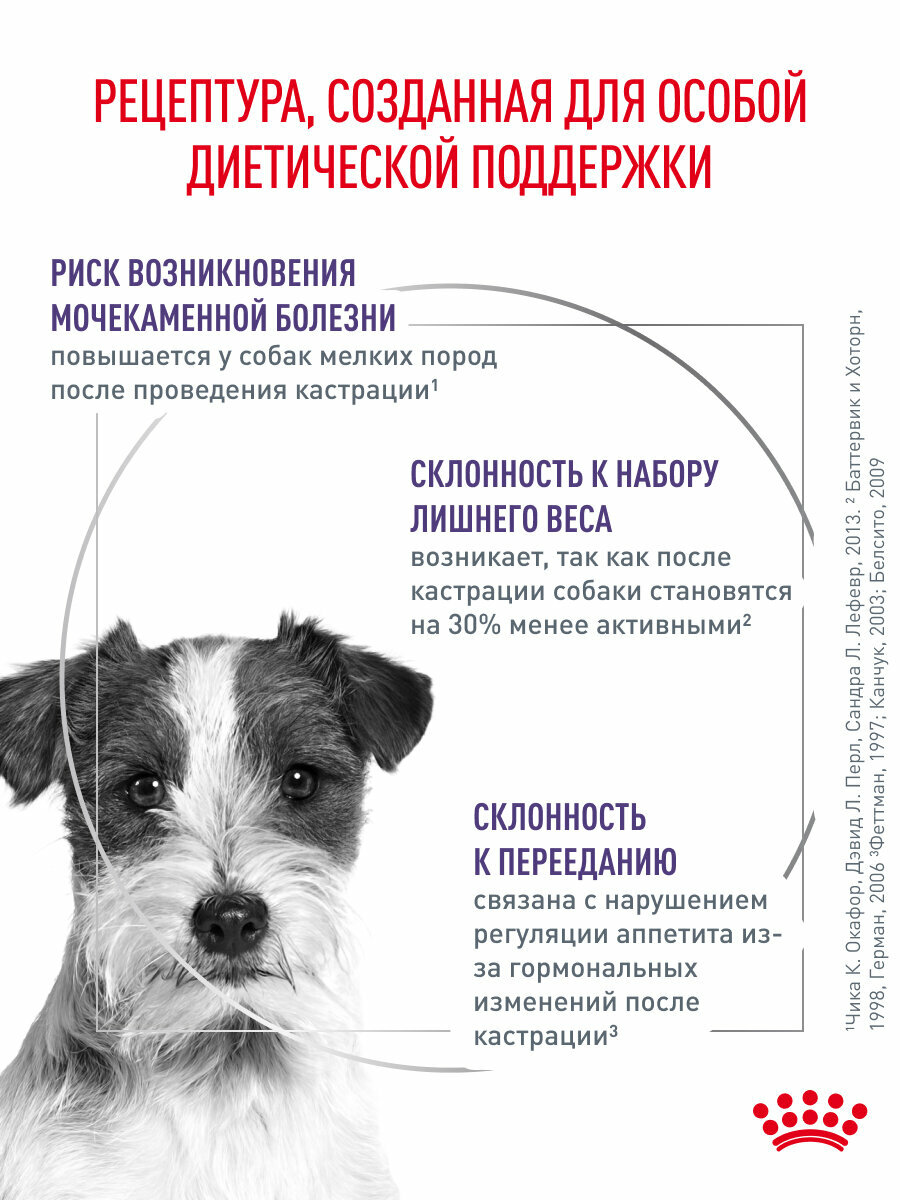Сухой корм для собак мелких пород Royal Canin Neutered Adult Small Dog для стерилизованных и кастрированных, 3,5 кг — фото 1