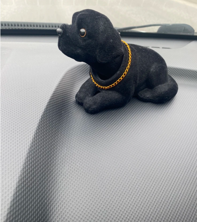 Качающаяся собака собака качает головой лабрадор