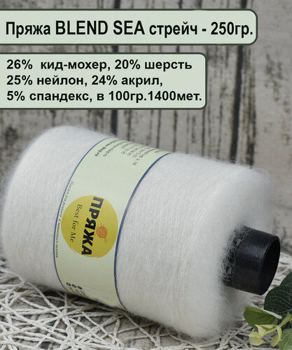 Изображение товара Пряжа BLEND SEA - 26%. кид-мохер, 20% шерсть, 25/24, 5% спандекс, 1400м/100гр. цв.01 белый (вес бобины 250гр.)