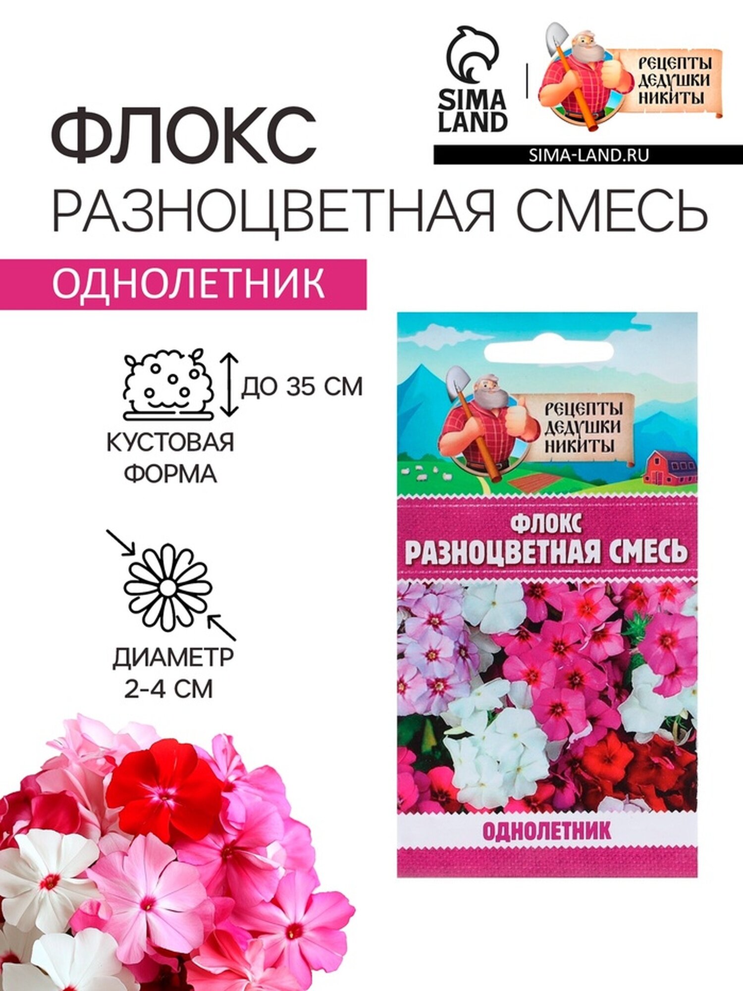 Семена цветов Флокс 