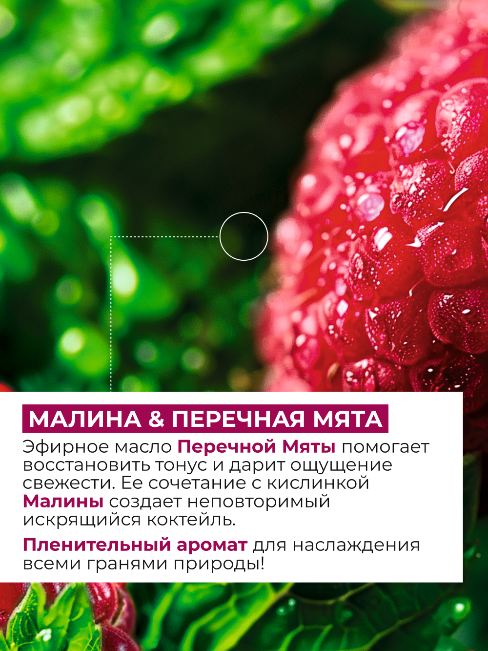 Картинки Yves Rocher Подарочный Набор косметики для ухода за телом "Малиновое пралине"