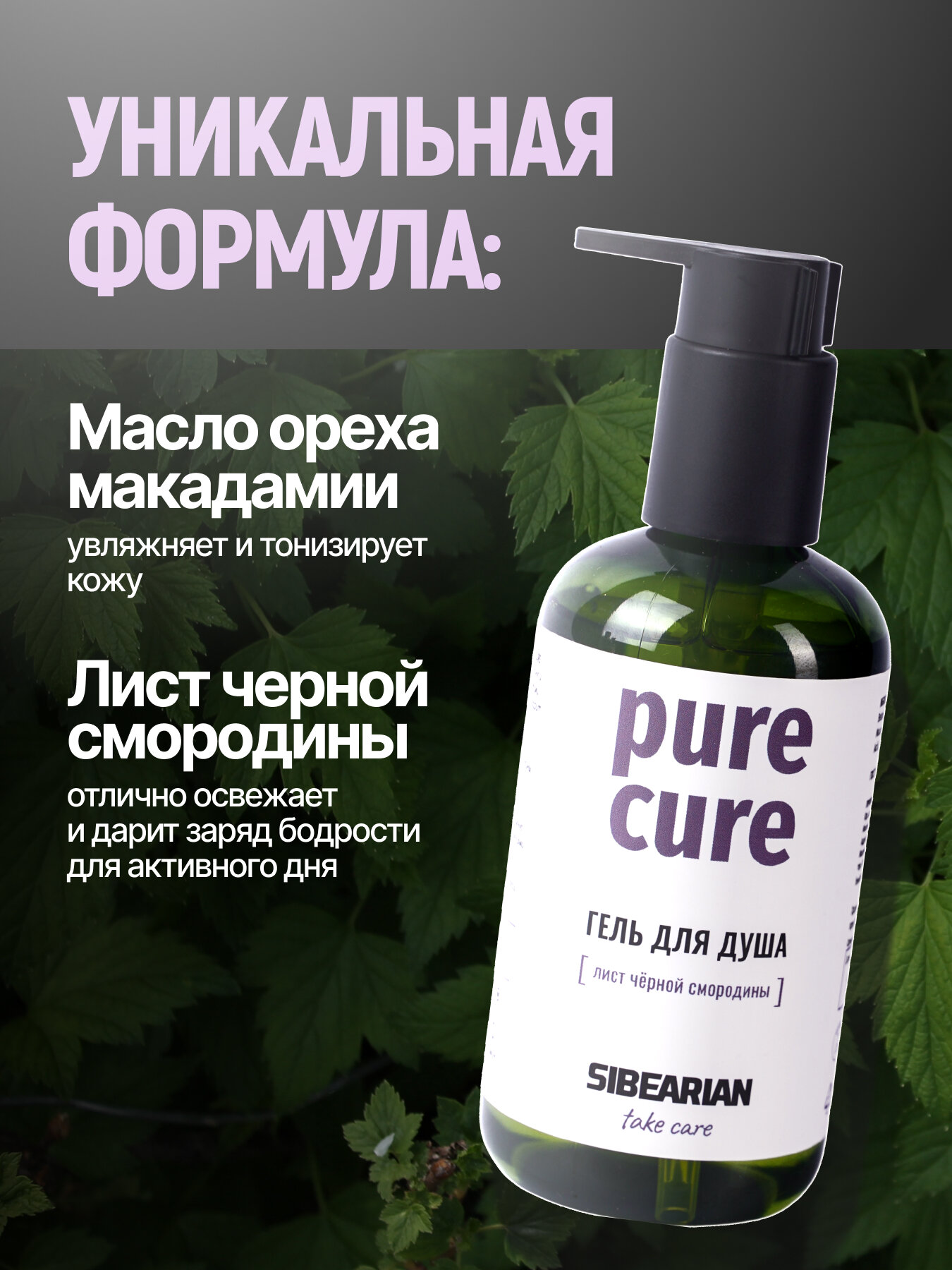 Парфюмированный гель для душа с ароматом листьев и ягод черной смородины SIBEARIAN Take Care Pure Cure 250 мл — фото 1
