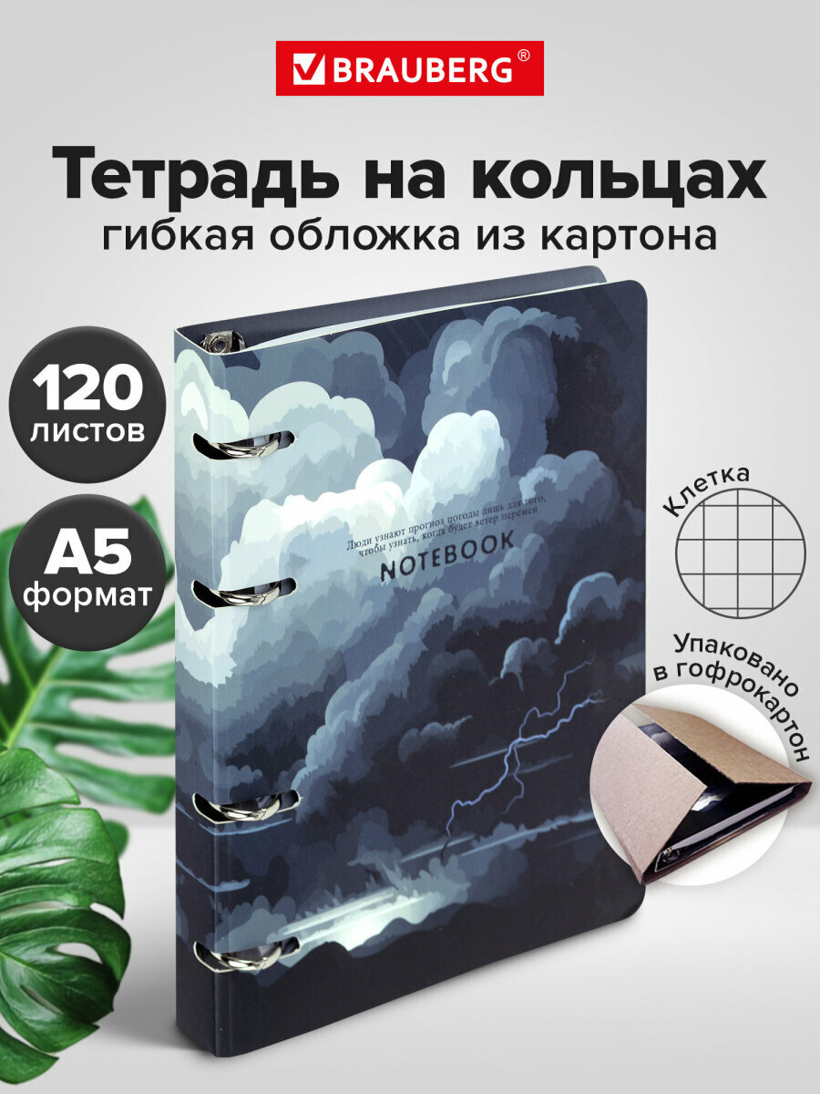 Тетрадь на кольцах А5 в клетку со сменным блоком 160х212 мм 120 листов обложка картон Brauberg Clouds 404726