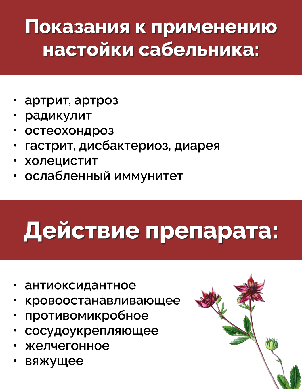 Картинки Сабельник болотный настойка, 100 мл, Материа Био Профи Центр