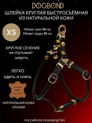 Изображение товара Шлейка Dogbond быстросъемная для шпица круглая из кожи
