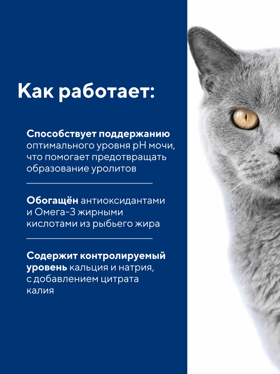 Диетический корм для кошек бошпро URINARY при заболеваниях нижних отделов мочевыводящих путей, 12 шт.*240 г — фото 1